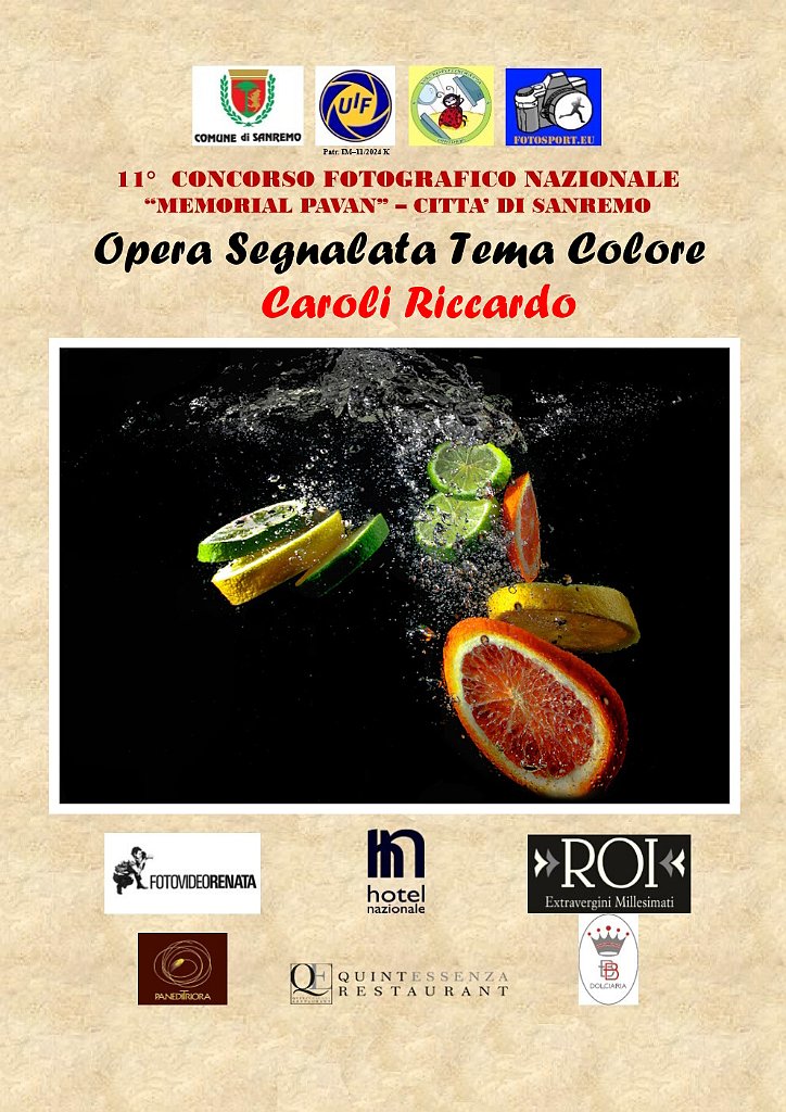 OPERA SEGNALATA TEMA COLORE CAROLI RICCARDO.jpg